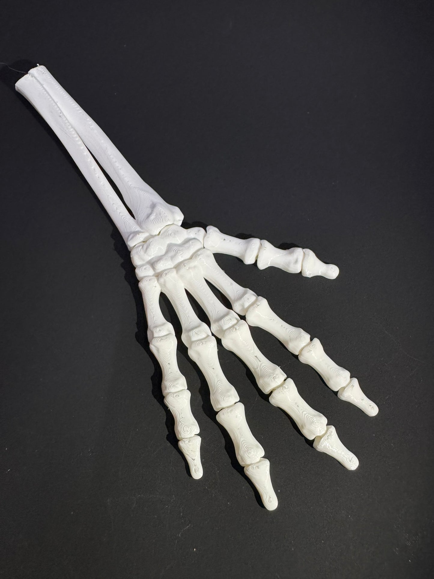 Skeleton Right Hand