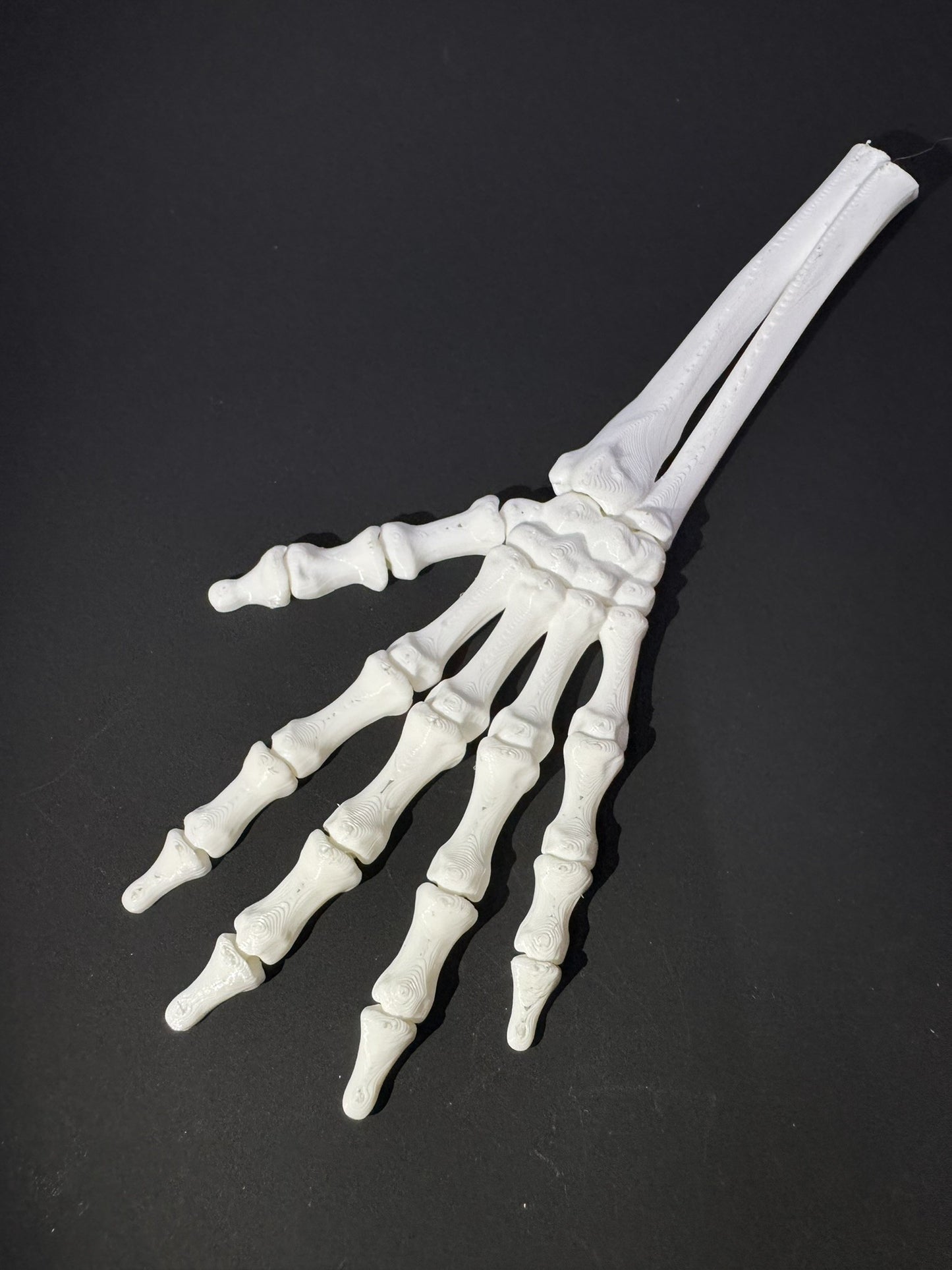 Skeleton Left Hand