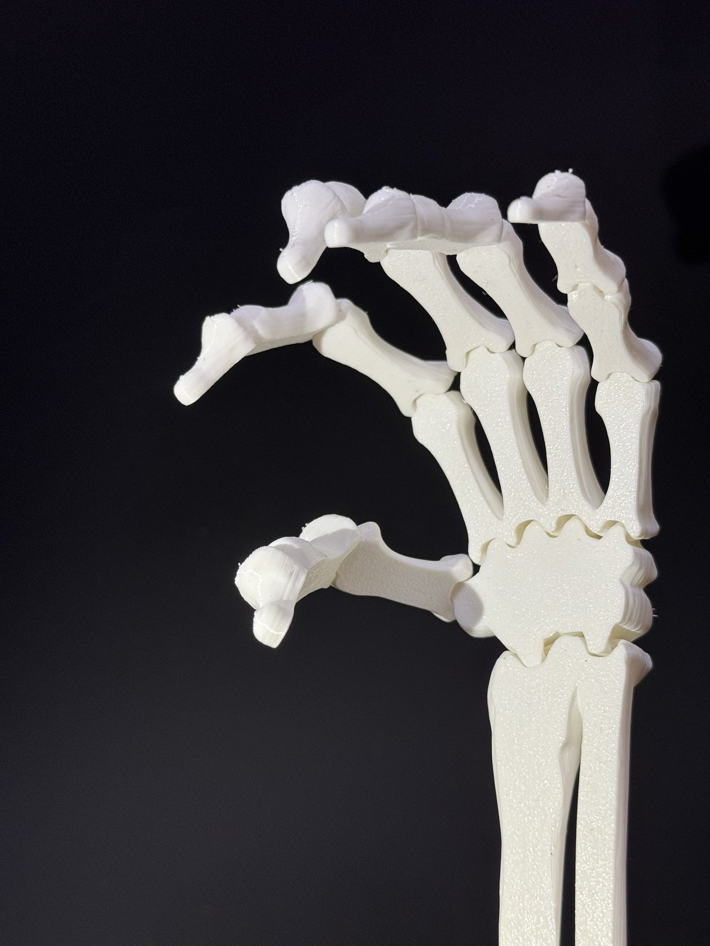 Skeleton Left Hand