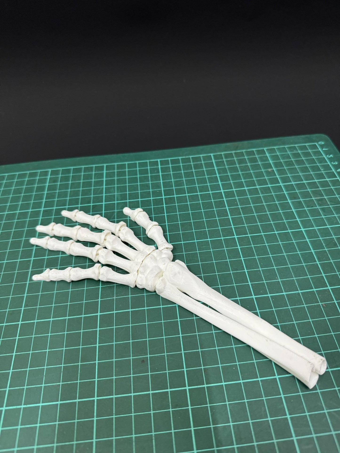 Skeleton Left Hand