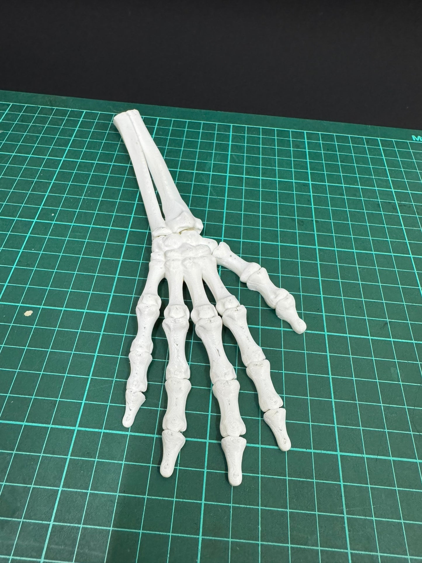 Skeleton Right Hand