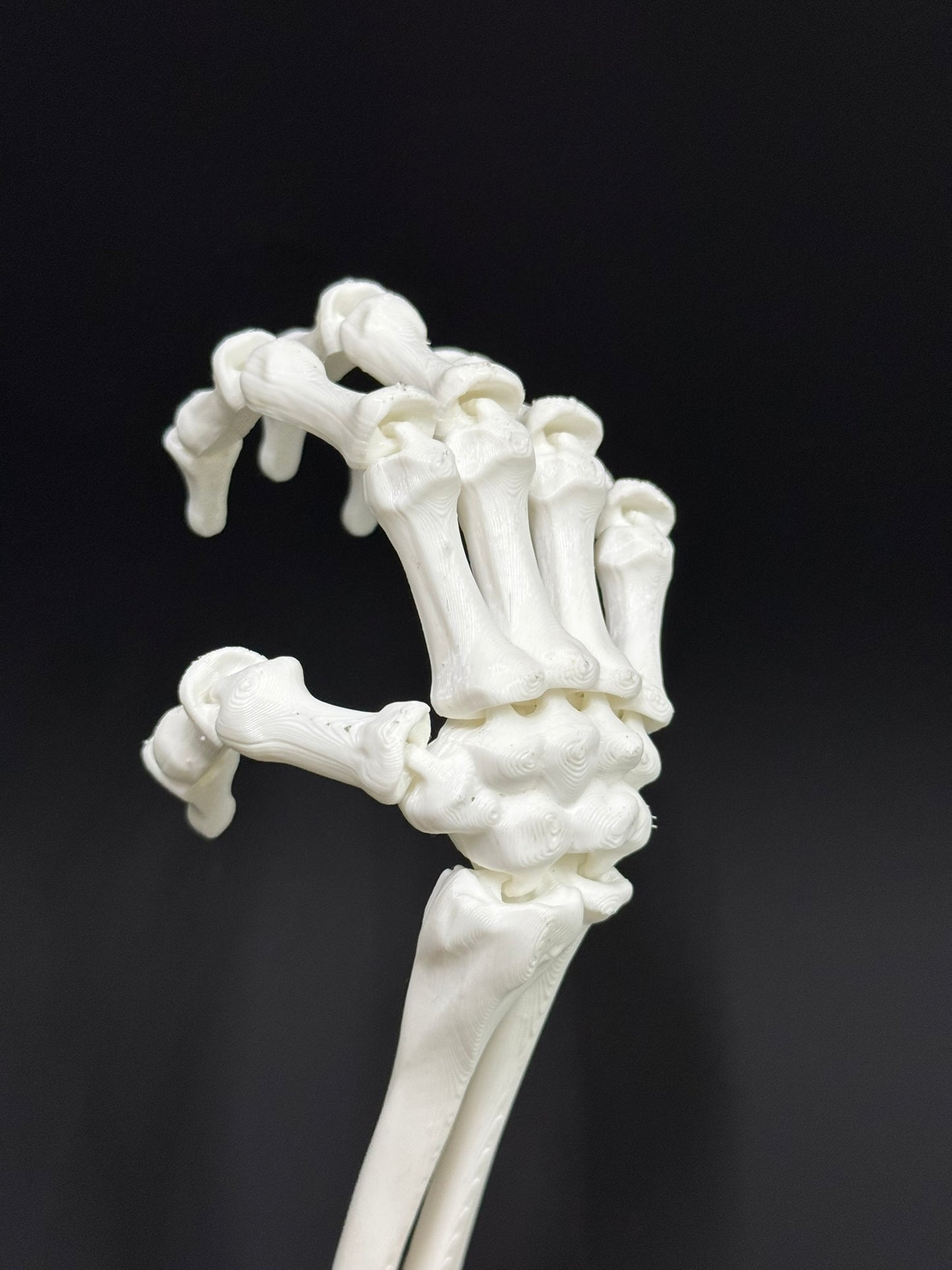 Skeleton Right Hand
