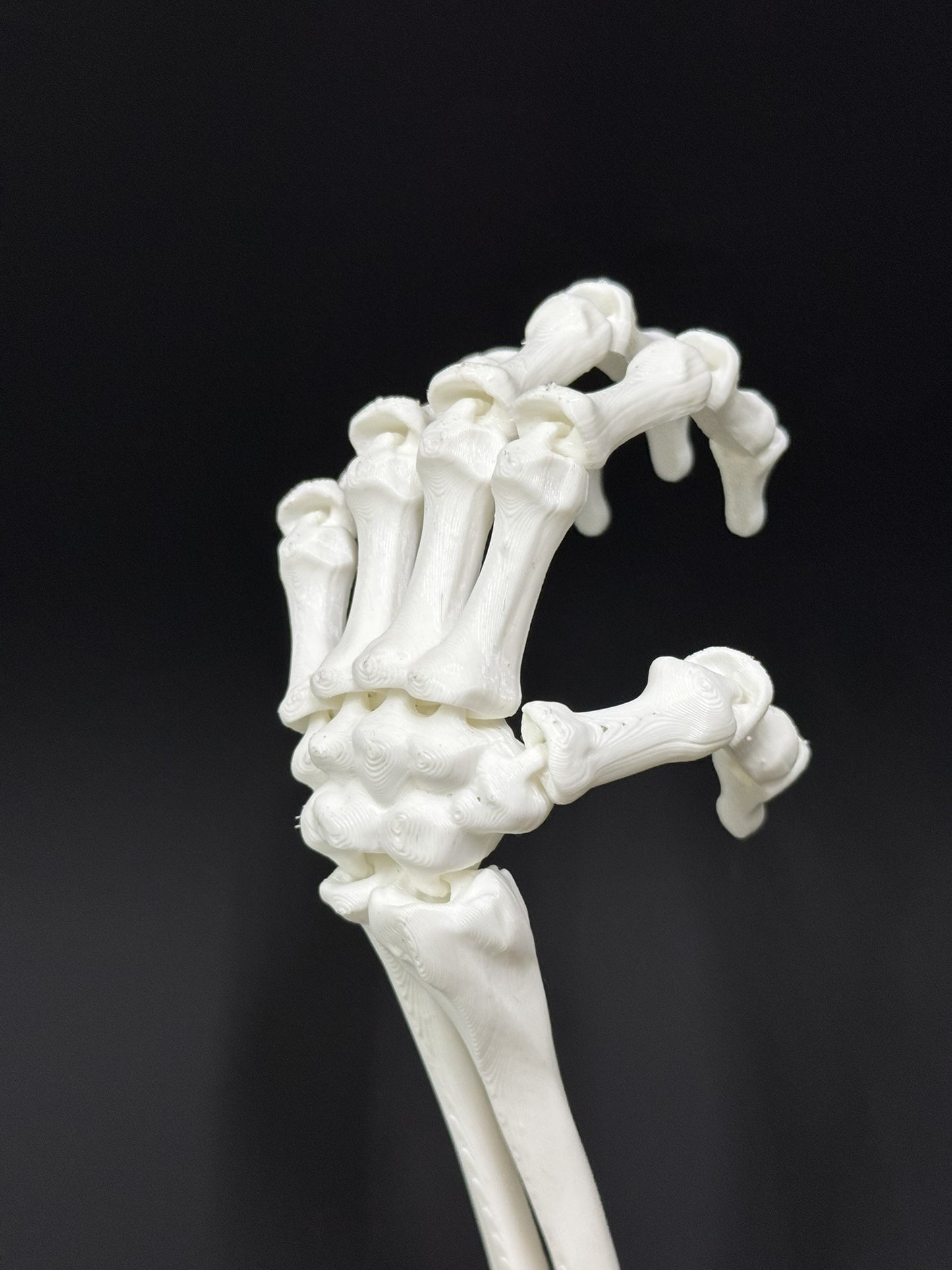Skeleton Left Hand